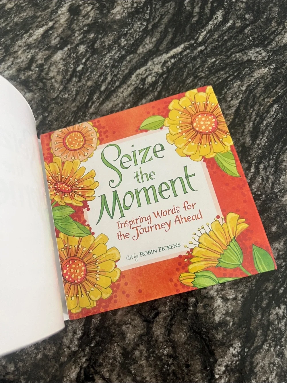 N/A seize moment